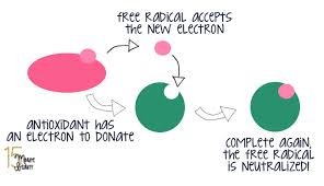 free-radicals